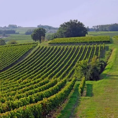 Maison Avec 2 Independants בית נופש