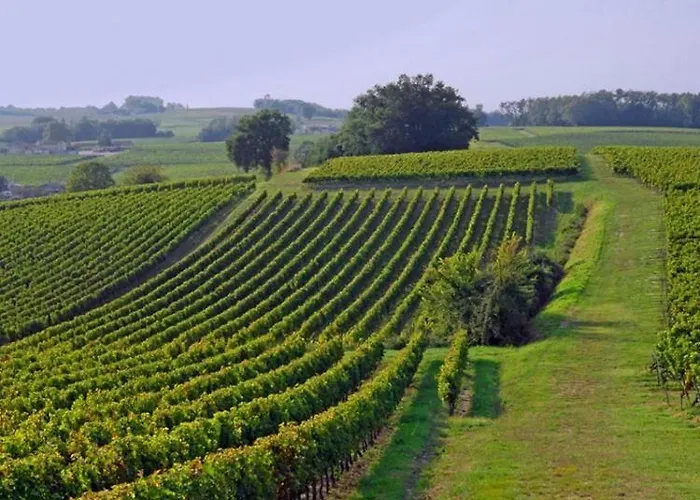 Maison Avec 2 Independants Prázdninový dům